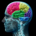 How Can I Improve My Brain Health?